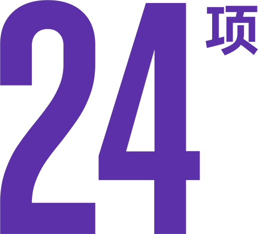 24项