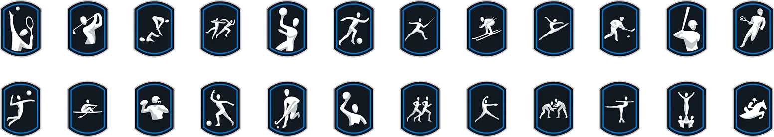 Sports Icons